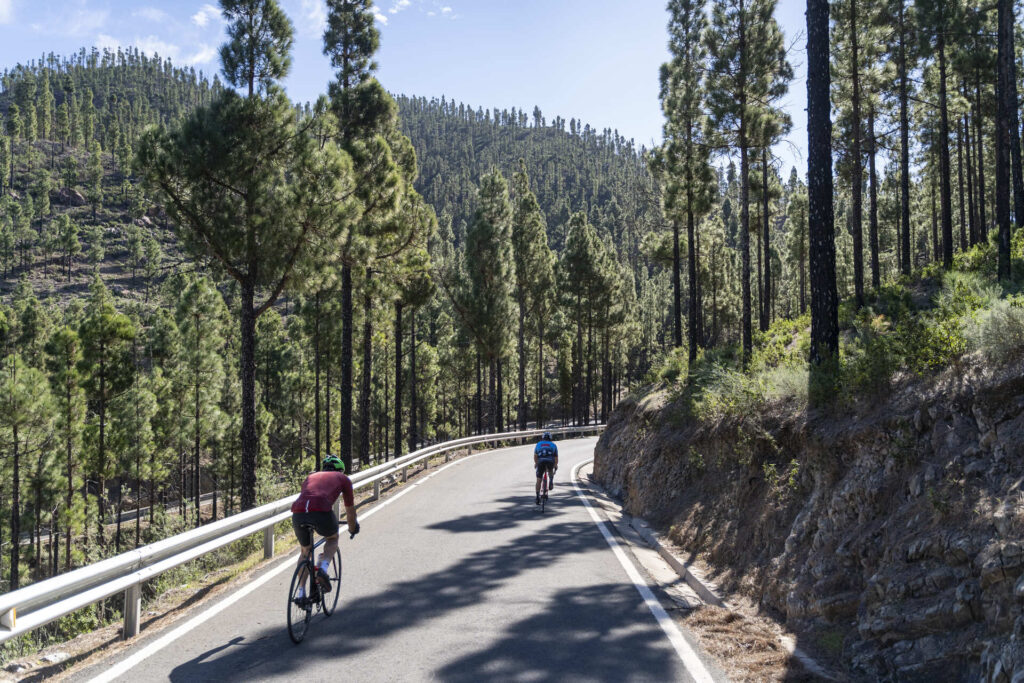 Top_Artenara_Sin_Logo_142